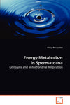 Energy Metabolism in Spermatozoa: Glycolysis and Mitochondrial Respiration