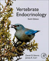 Vertebrate Endocrinology: 6th Edition