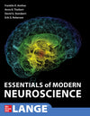 Essentials of Modern Neuroscience: 1st Edition