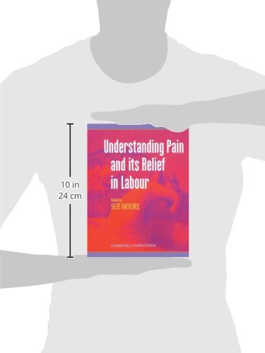 Understanding Pain and Its Relief in Labour: 1st Edition