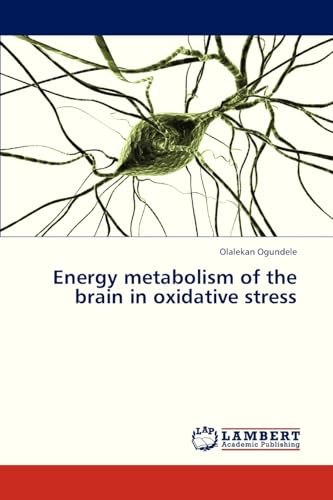 Energy metabolism of the brain in oxidative stress