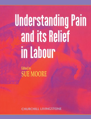 Understanding Pain and Its Relief in Labour: 1st Edition