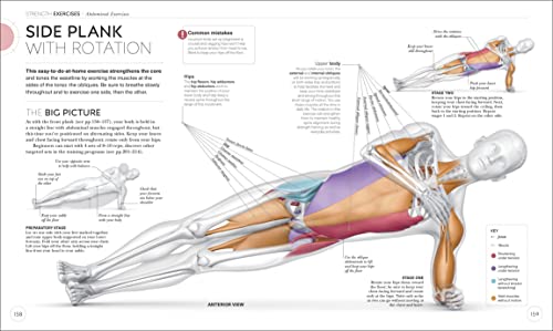 Science of Strength Training: Understand the anatomy and physiology to transform your body (The Science of Fitness): Paperback – International Edition, May 4, 2021
