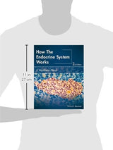 How the Endocrine System Works (The How it Works Series): 2nd Edition