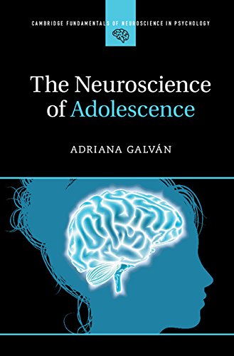 The Neuroscience of Adolescence (Cambridge Fundamentals of Neuroscience in Psychology): 1st Edition