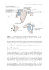 The Anatomy and Physiology of Sports Massage