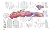 Science of Strength Training: Understand the anatomy and physiology to transform your body (The Science of Fitness): Paperback – International Edition, May 4, 2021