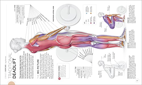 Science of Strength Training: Understand the anatomy and physiology to transform your body (The Science of Fitness): Paperback – International Edition, May 4, 2021