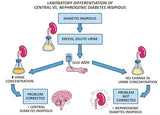 Clinical Pathophysiology Made Ridiculously Simple: Color Edition