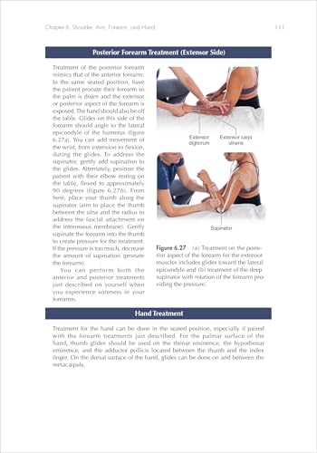 The Anatomy and Physiology of Sports Massage