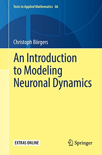 An Introduction to Modeling Neuronal Dynamics (Texts in Applied Mathematics, 66)