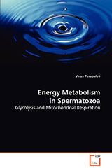 Energy Metabolism in Spermatozoa: Glycolysis and Mitochondrial Respiration