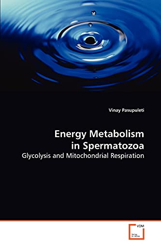 Energy Metabolism in Spermatozoa: Glycolysis and Mitochondrial Respiration