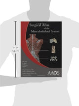 Surgical Atlas Of The Musculoskeletal System: 1st Edition
