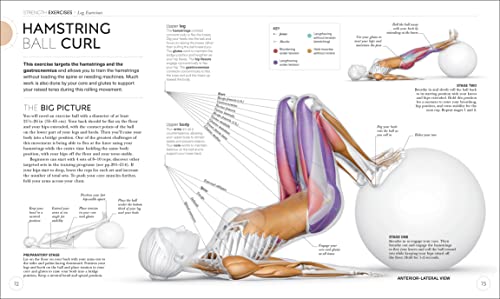 Science of Strength Training: Understand the anatomy and physiology to transform your body (The Science of Fitness): Paperback – International Edition, May 4, 2021