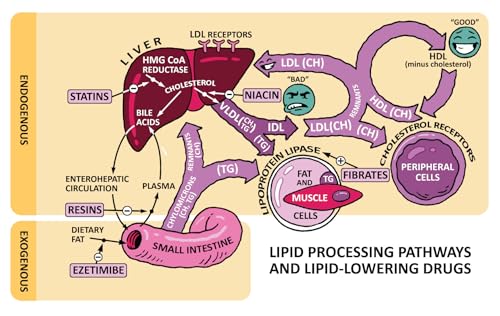 Clinical Pathophysiology Made Ridiculously Simple: Color Edition