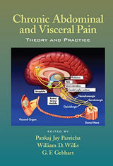 Chronic Abdominal and Visceral Pain: Theory and Practice