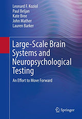 Large-Scale Brain Systems and Neuropsychological Testing: An Effort to Move Forward (Springerbriefs in Neuroscience)