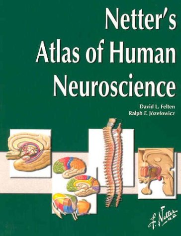 Netter's Atlas of Human Neuroscience (Netter Basic Science): 1st Edition
