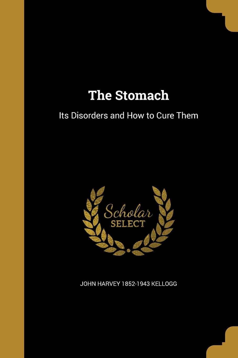 The Stomach