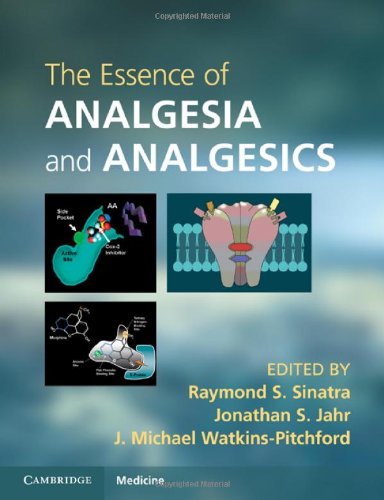 The Essence of Analgesia and Analgesics (Cambridge Medicine ()): Illustrated Edition