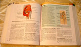 Gray's Anatomy for Students: With STUDENT CONSULT Online Access