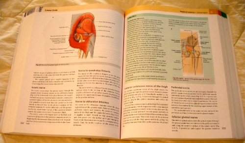 Gray's Anatomy for Students: With STUDENT CONSULT Online Access
