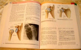 Gray's Anatomy for Students: With STUDENT CONSULT Online Access