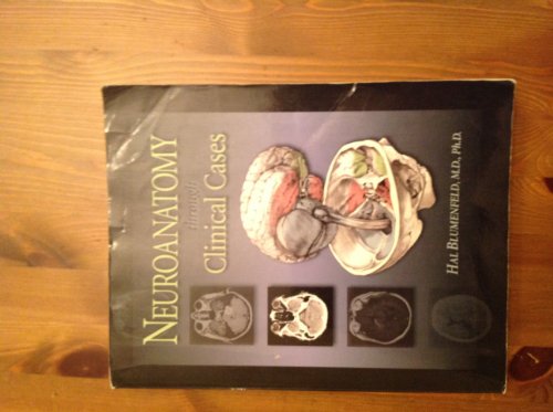 Neuroanatomy: First Edition