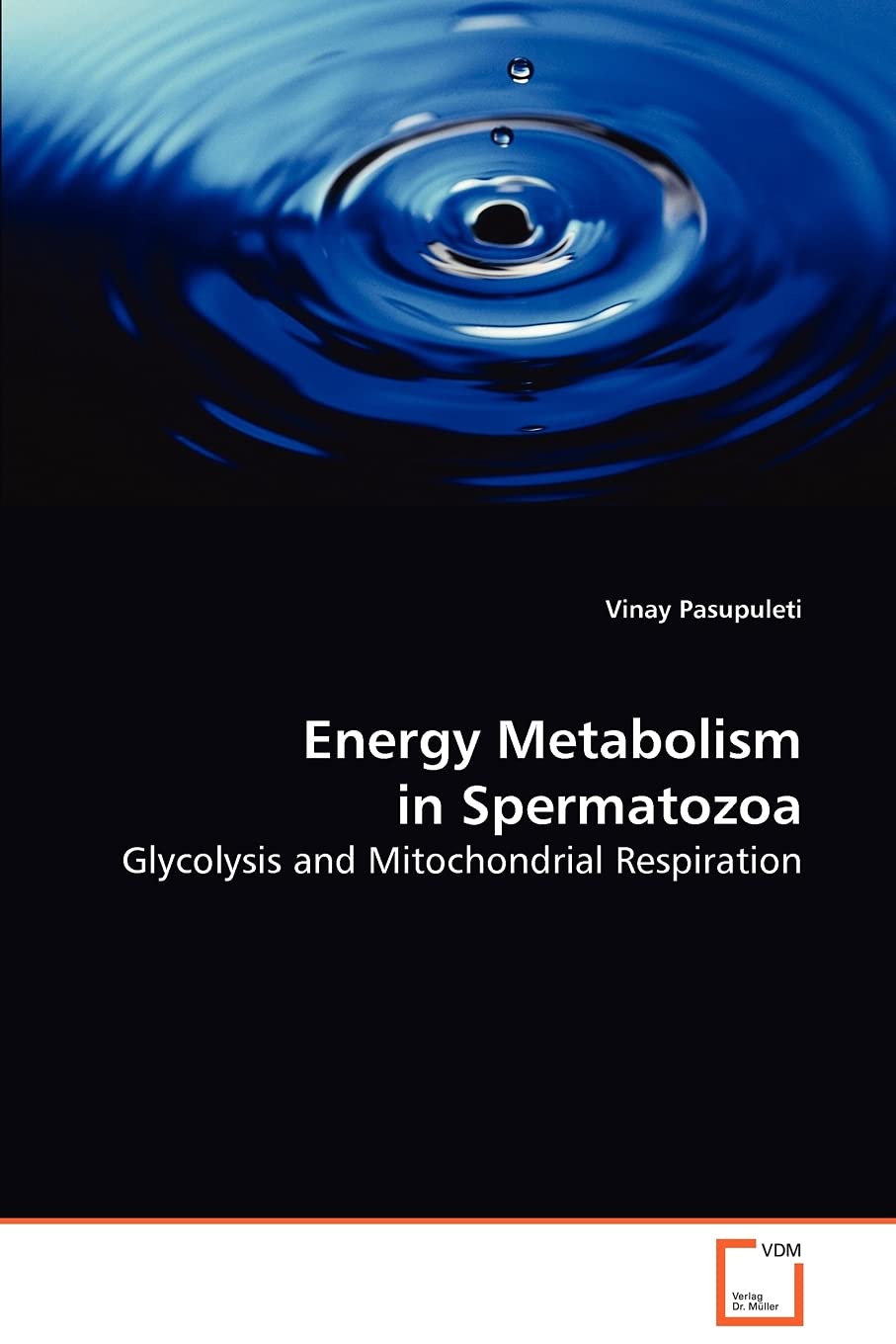 Energy Metabolism in Spermatozoa: Glycolysis and Mitochondrial Respiration