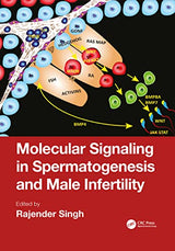 Molecular Signaling in Spermatogenesis and Male Infertility: 1st Edition