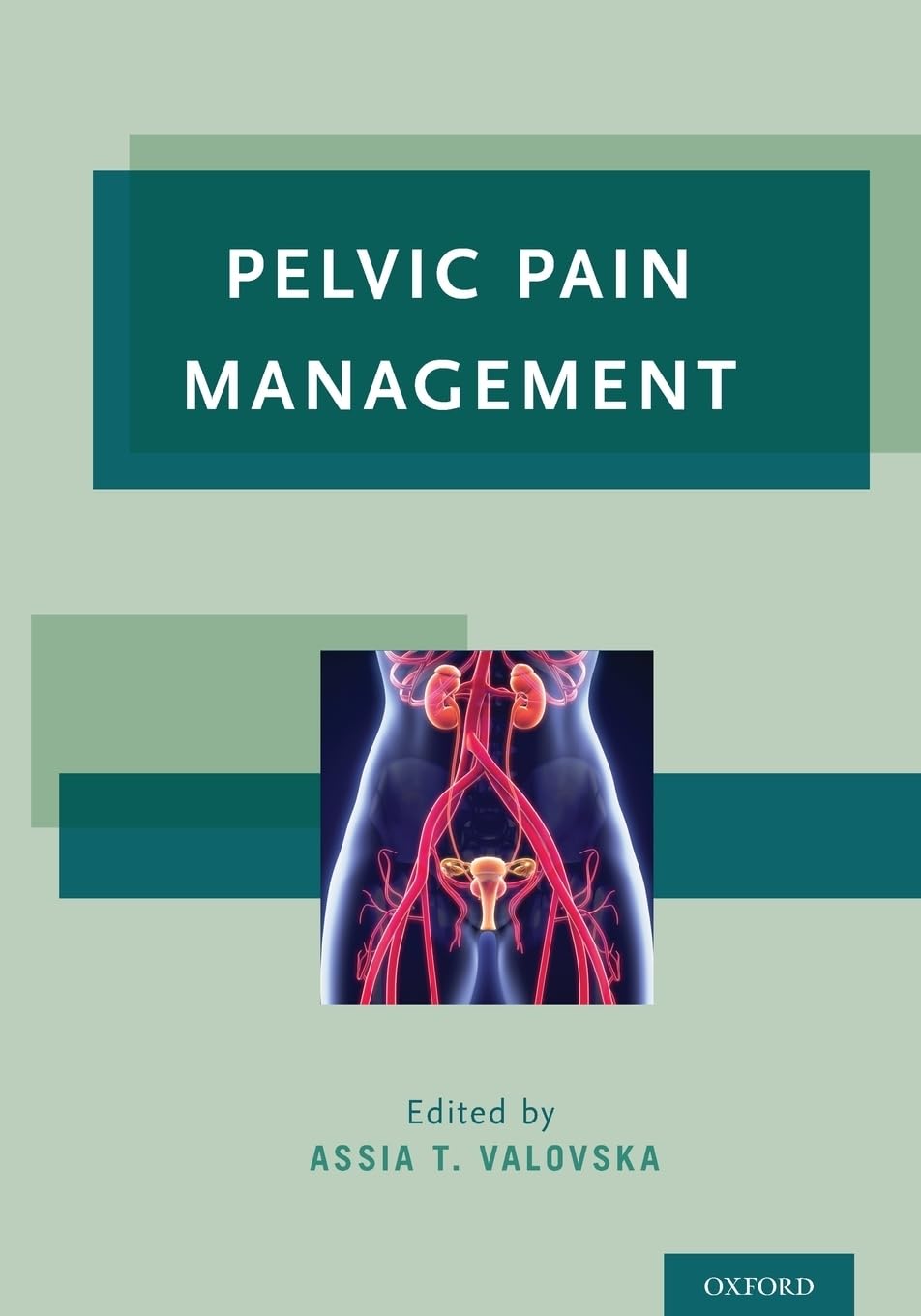 Pelvic Pain Management: 1st Edition