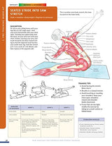 New Anatomy for Strength & Fitness Training: An Illustrated Guide to Your Muscles in Action Including Exercises Used in CrossFit (R), P90X (R), and Other Popular Fitness Programs (IMM Lifestyle Books)