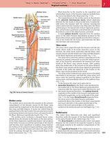 Gray's Basic Anatomy with Student Consult: 1 PAP/PSCst Edition