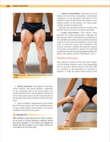 Kinetic Anatomy: Fourth Edition