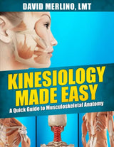 Kinesiology Made Easy: A Quick Guide to Musculoskeletal Anatomy