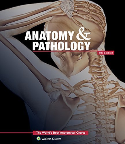 Anatomy & Pathology:The World's Best Anatomical Charts Book (The World's Best Anatomical Chart Series) Sixth Edition by Anatomical Chart Company (2014)