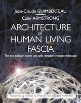 Architecture of Human Living Fascia: The Extracellular Matrix and Cells Revealed Through Endoscopy