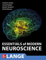 Essentials of Modern Neuroscience: 1st Edition
