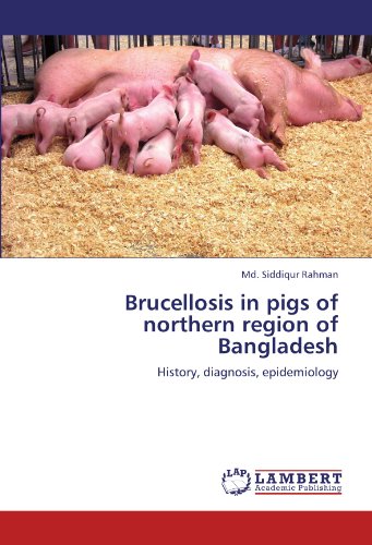 Brucellosis in pigs of northern region of Bangladesh: History, diagnosis, epidemiology