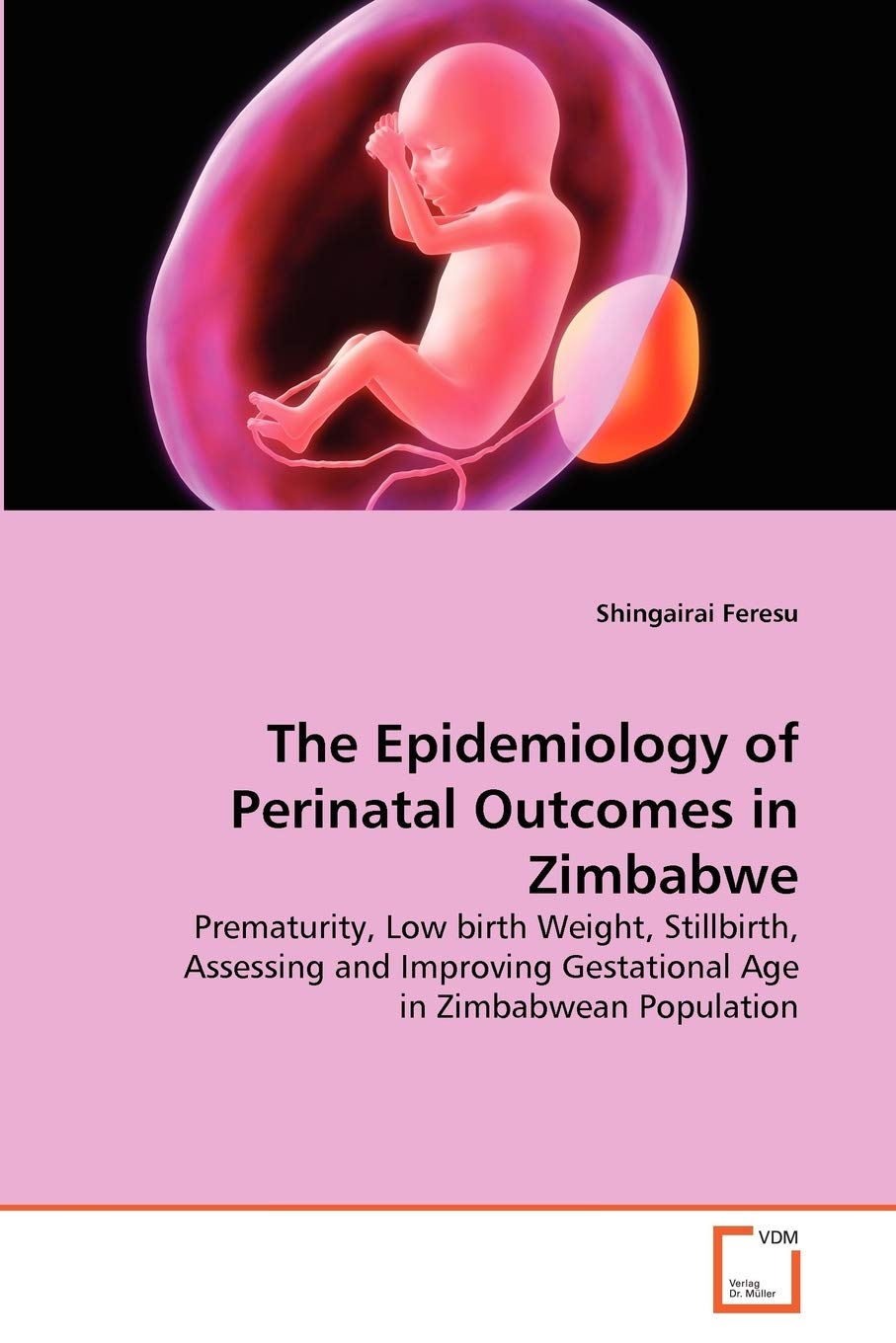 The Epidemiology of Perinatal Outcomes in Zimbabwe: Prematurity, Low birth Weight, Stillbirth, Assessing and Improving Gestational Age in Zimbabwean Population