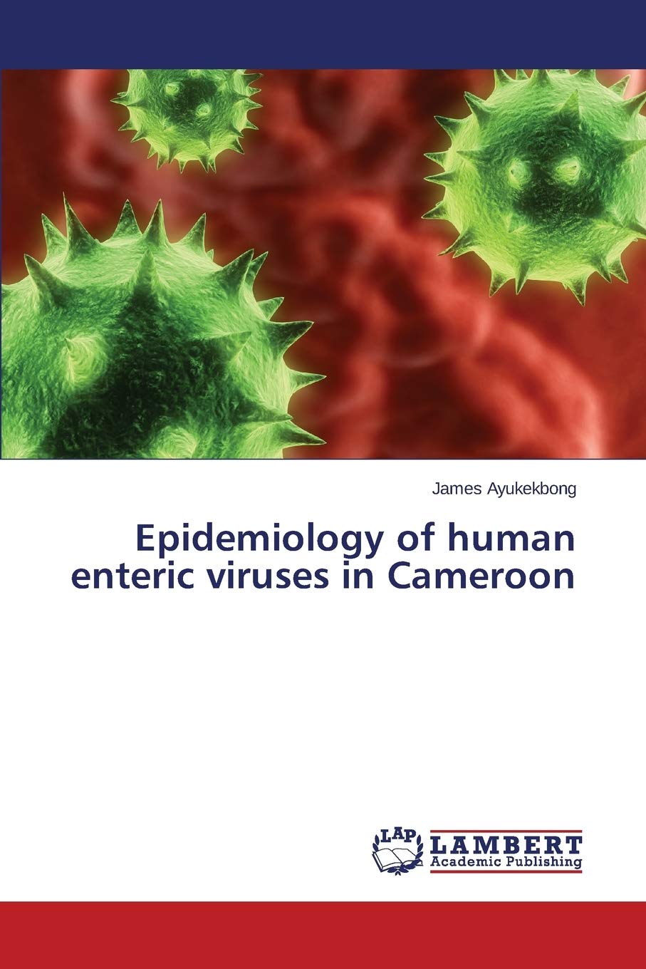 Epidemiology of human enteric viruses in Cameroon