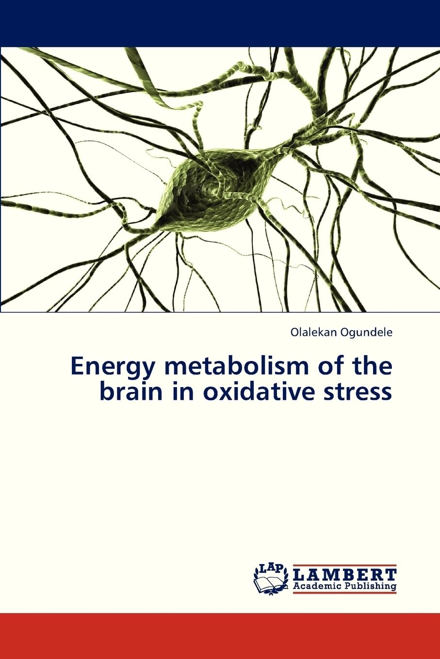 Energy metabolism of the brain in oxidative stress