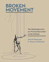 Broken Movement: The Neurobiology of Motor Recovery after Stroke