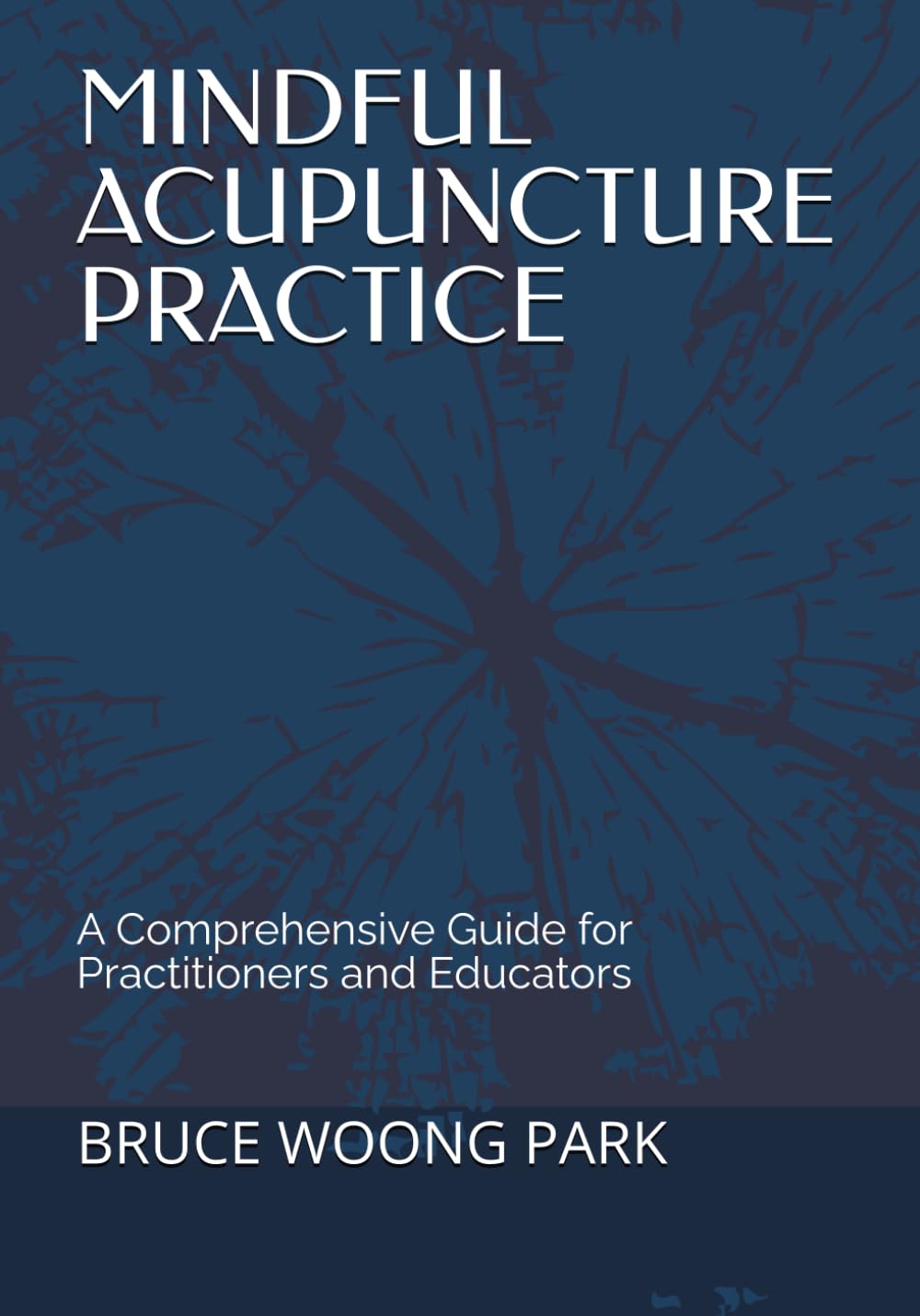 MINDFUL ACUPUNCTURE PRACTICE: A Comprehensive Guide for Practitioners and Educators