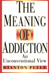 The Meaning of Addiction: An Unconventional View: 1998 Reissued Paperth Edition