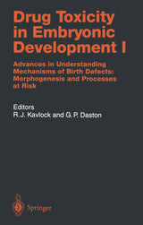 Drug Toxicity in Embryonic Development I: Advances in Understanding Mechanisms of Birth Defects: Morphogenesis and Processes at Risk (Handbook of Experimental Pharmacology)