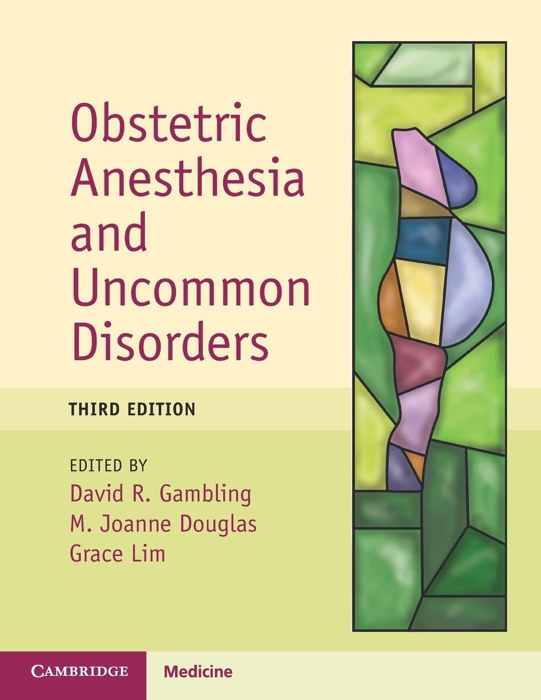 Obstetric Anesthesia and Uncommon Disorders (Cambridge Medicine): 3rd Edition