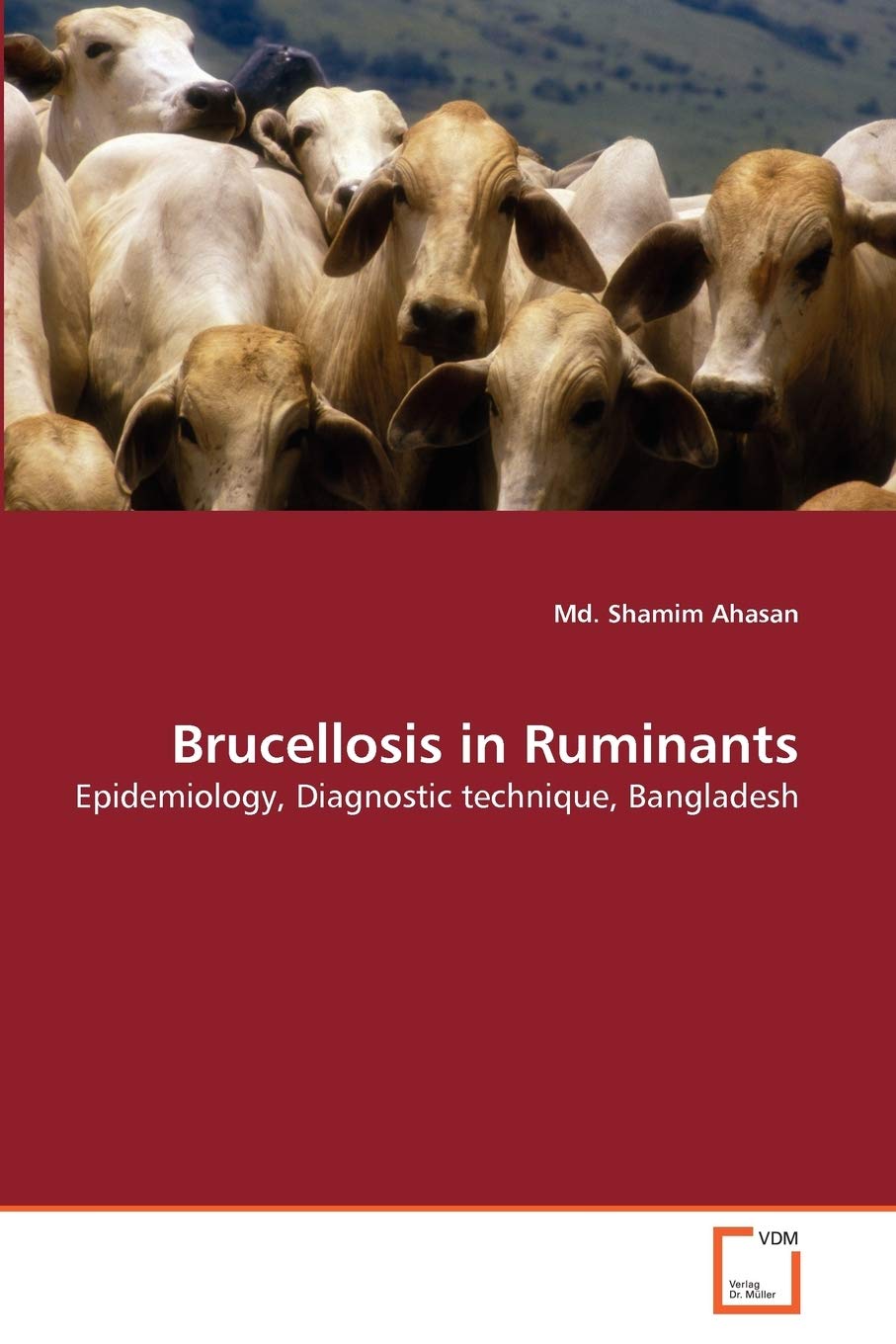 Brucellosis in Ruminants: Epidemiology, Diagnostic technique, Bangladesh