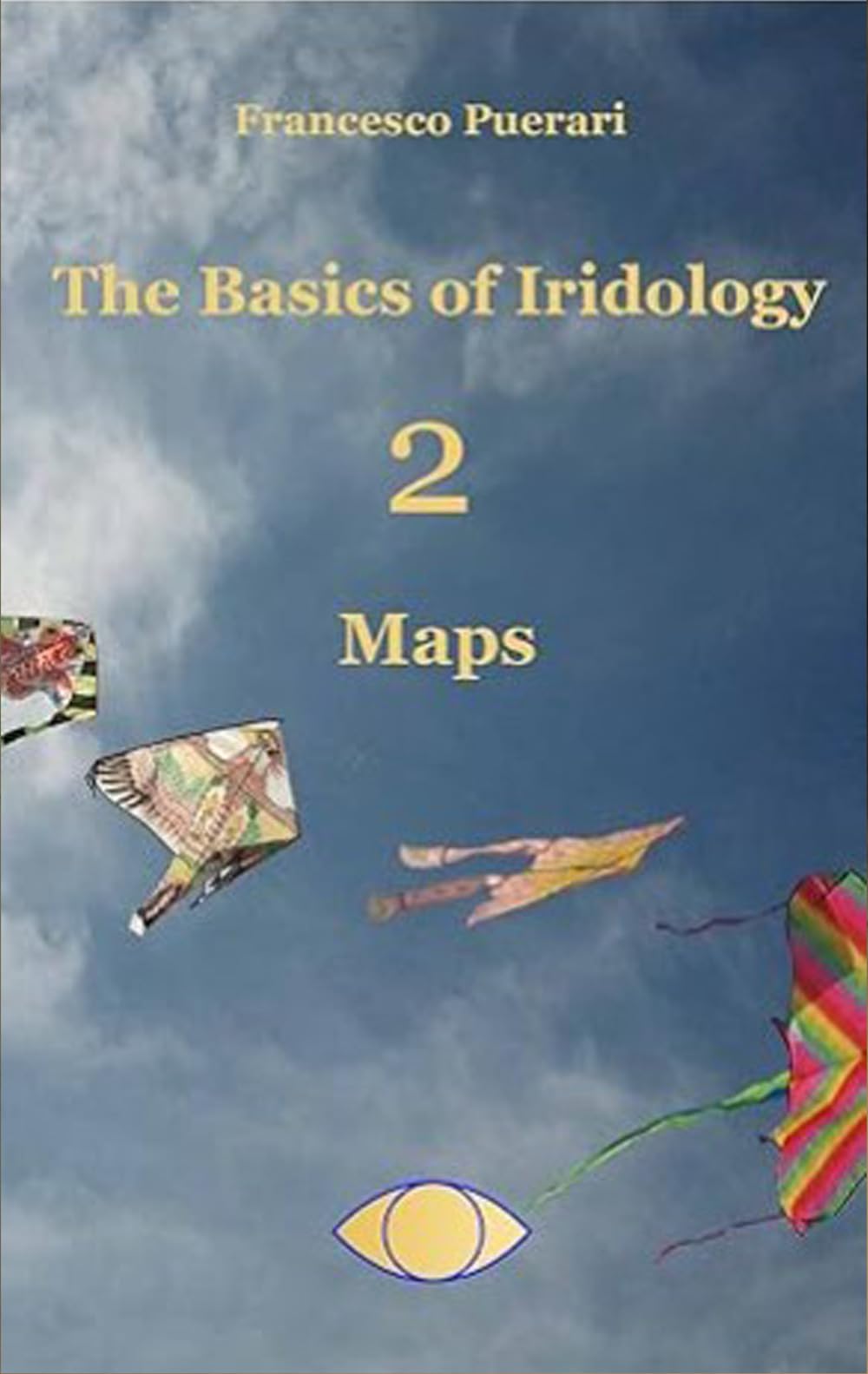 The Basics of Iridology -2 - Maps